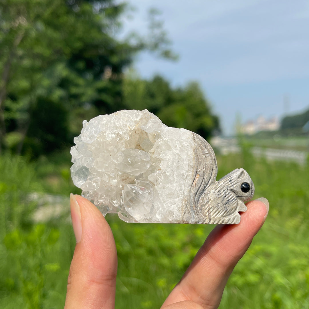 Natural Quartz Cluster Squirrel Carving
