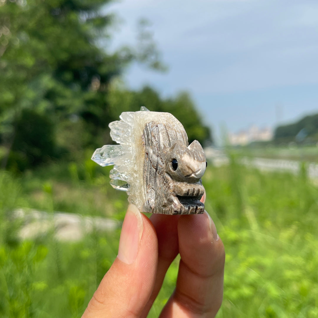 Natural Quartz Cluster Squirrel Carving