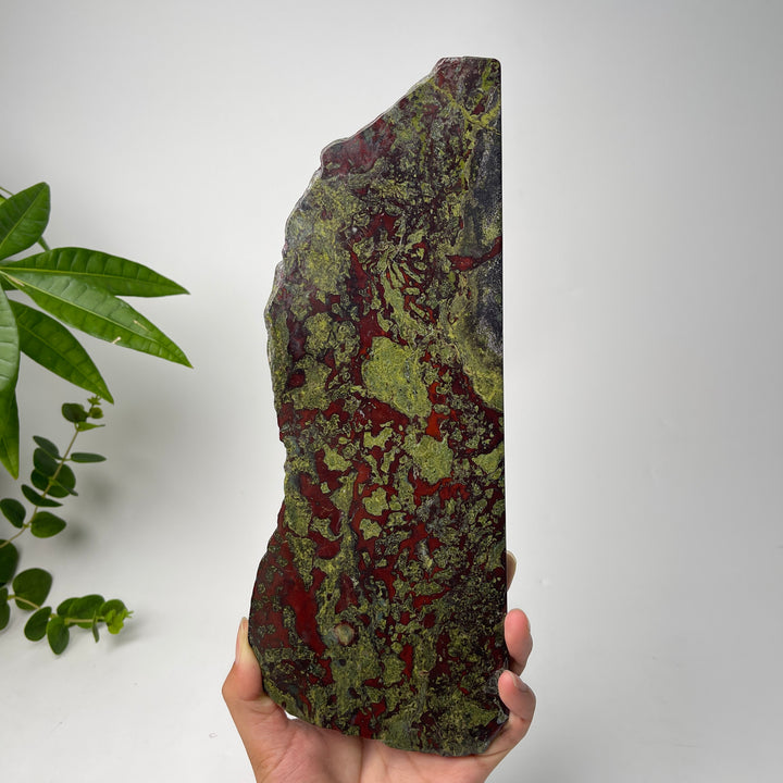 Unique,Natural Crystal Dragon Blood Stone Slice