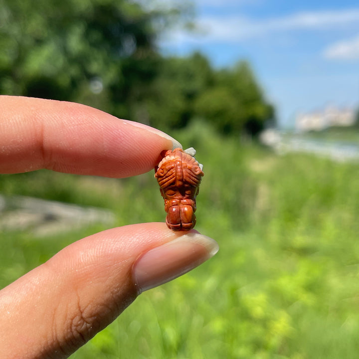 Natural Crystal Alashan Agate Butterfly Fairy Carving