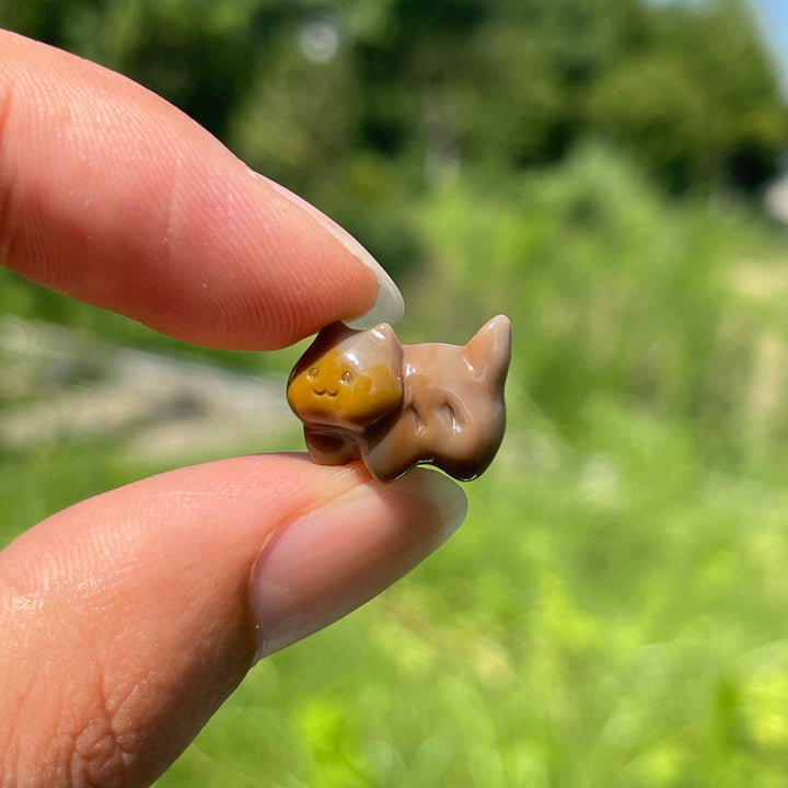 Natural Crystal Mini Alashan Agate Playful Cat Carving