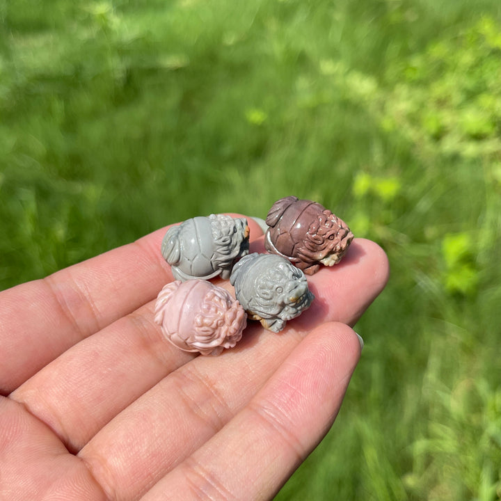 Natural Crystal Mini Alashan Agate Dragon Turtle