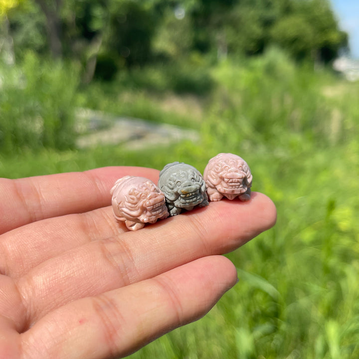 Natural Crystal Mini Alashan Agate Dragon Turtle