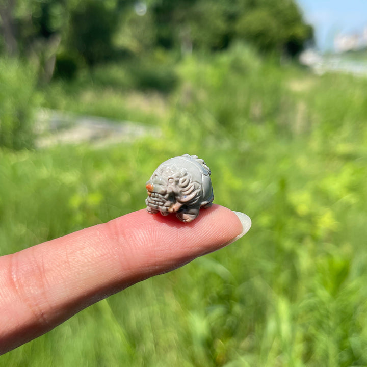 Natural Crystal Mini Alashan Agate Dragon Turtle
