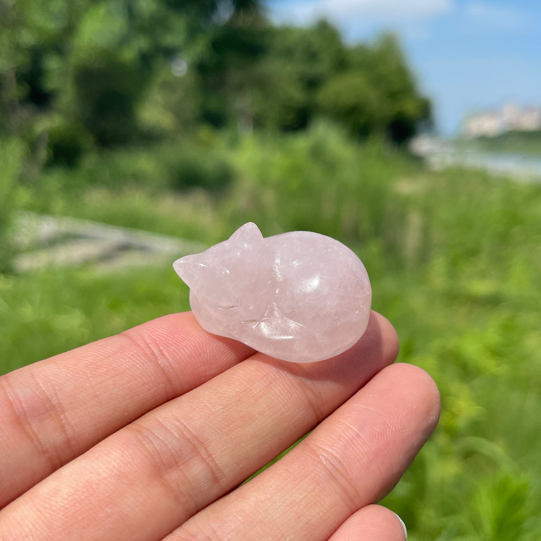 Natural Crystal Rose Quartz Sleeping Cat Carving