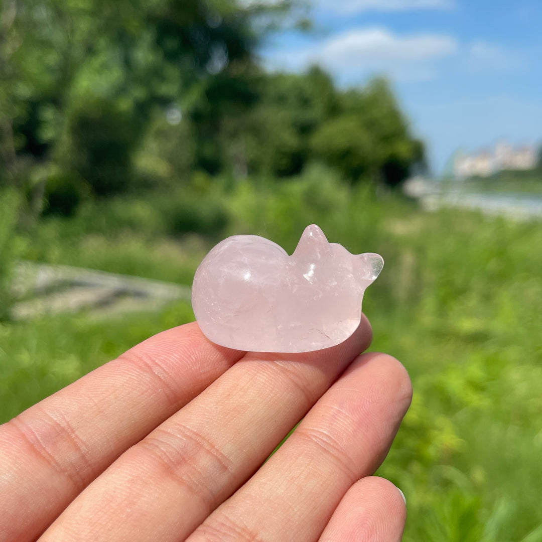 Natural Crystal Rose Quartz Sleeping Cat Carving