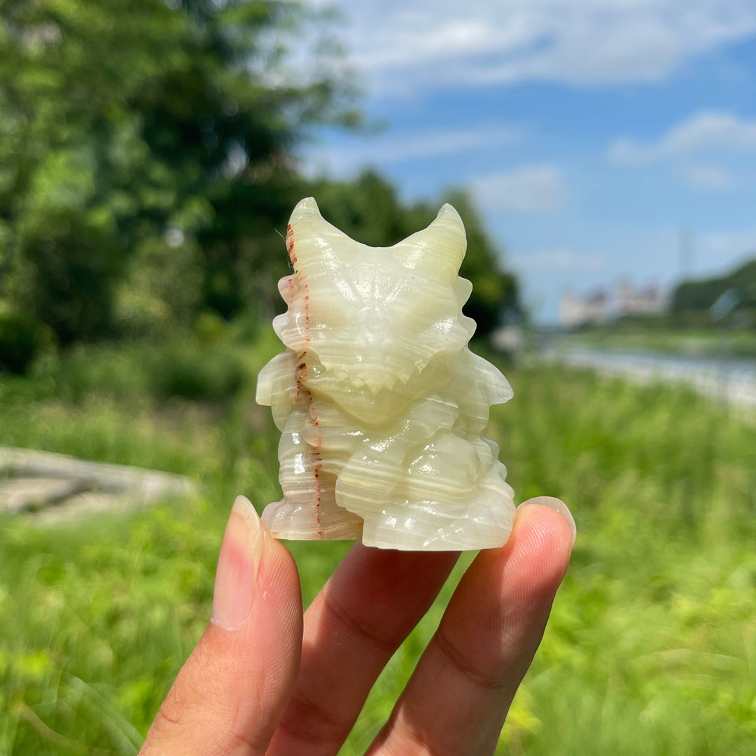 Natural Crystal Skull Dragon Carving