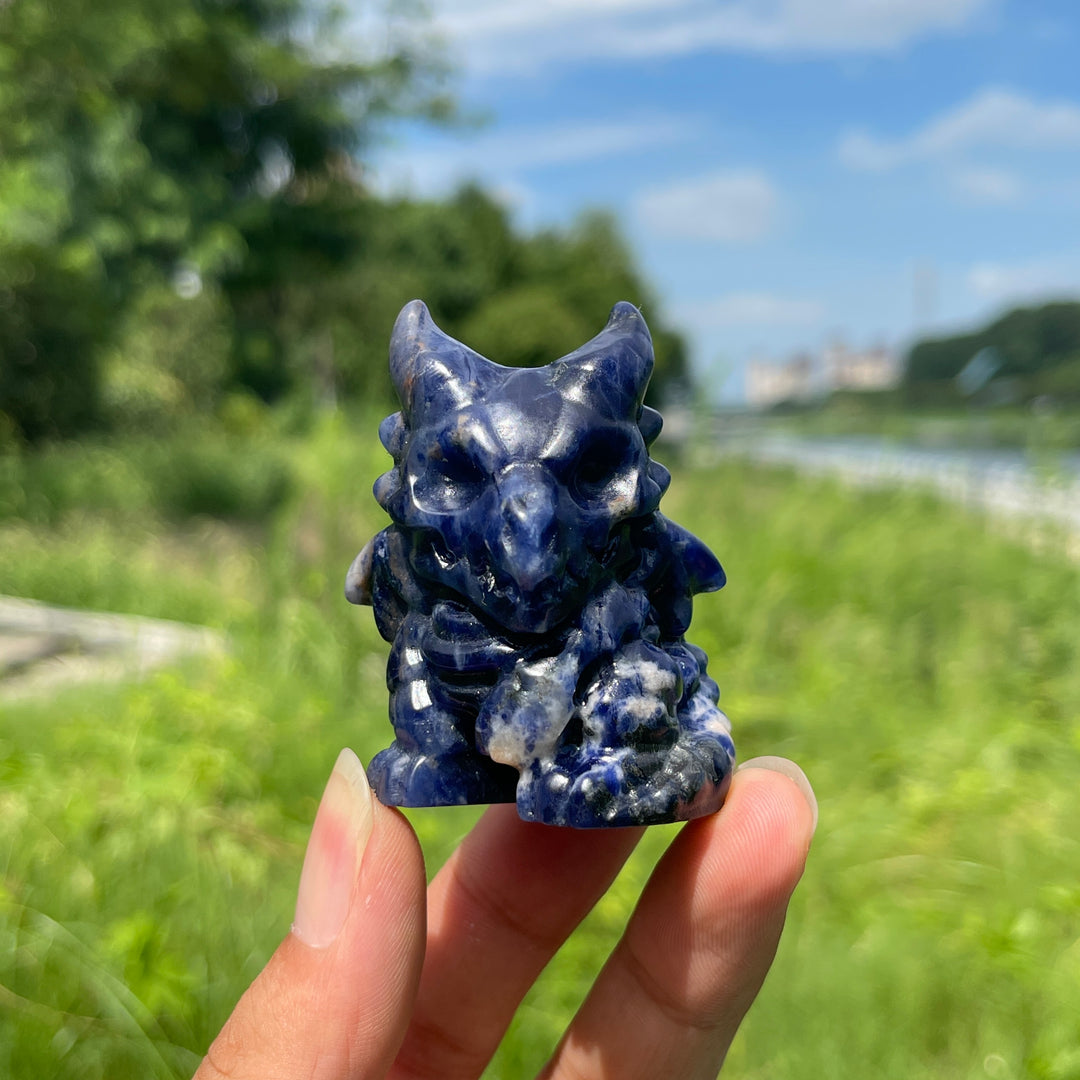 Natural Crystal Skull Dragon Carving