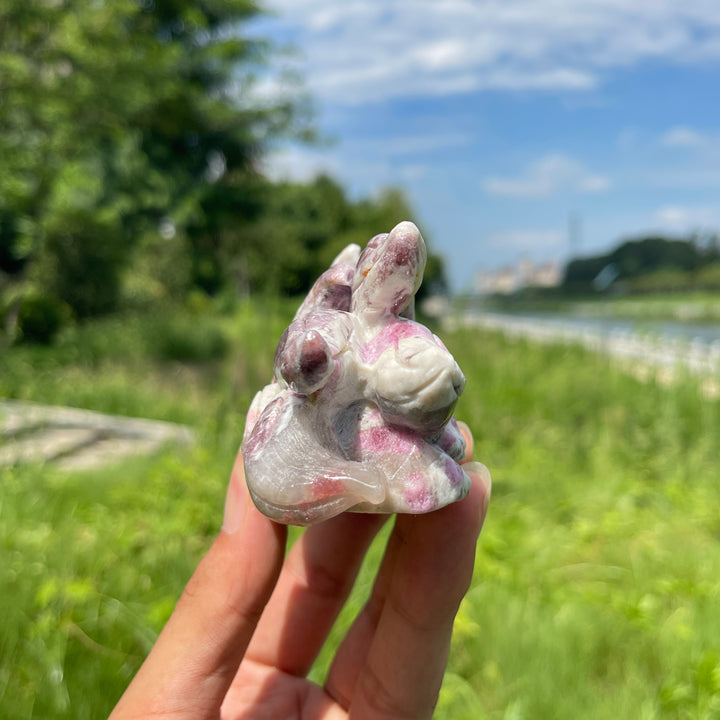 Unique,A Slightly Imperfect Natural Plum Tourmaline Nine-Tailed Fox Carving