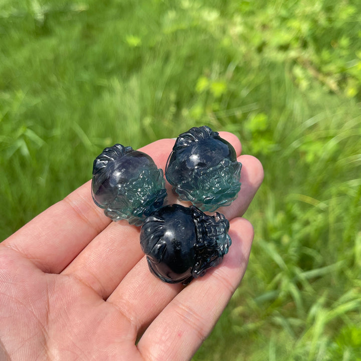Natural Crystal Fluorite Mini Dragon Turtle Carving
