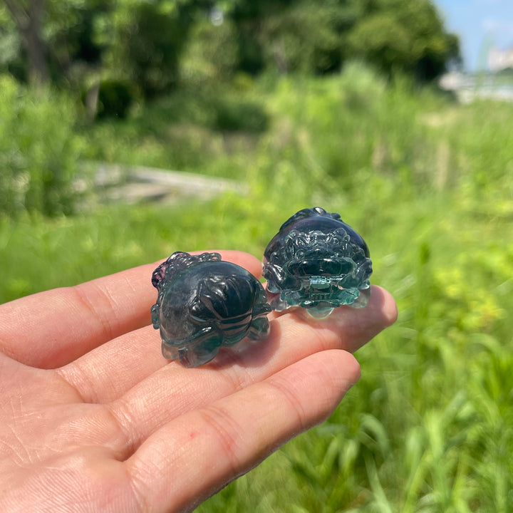Natural Crystal Fluorite Mini Dragon Turtle Carving