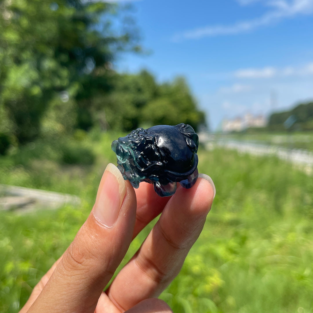 Natural Crystal Fluorite Mini Dragon Turtle Carving