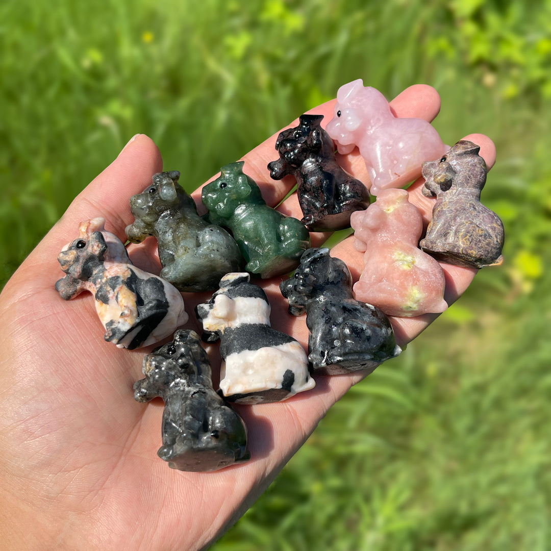 Natural Crystal Puppy With A Bone Carving