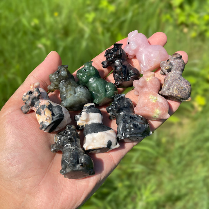Natural Crystal Puppy With A Bone Carving