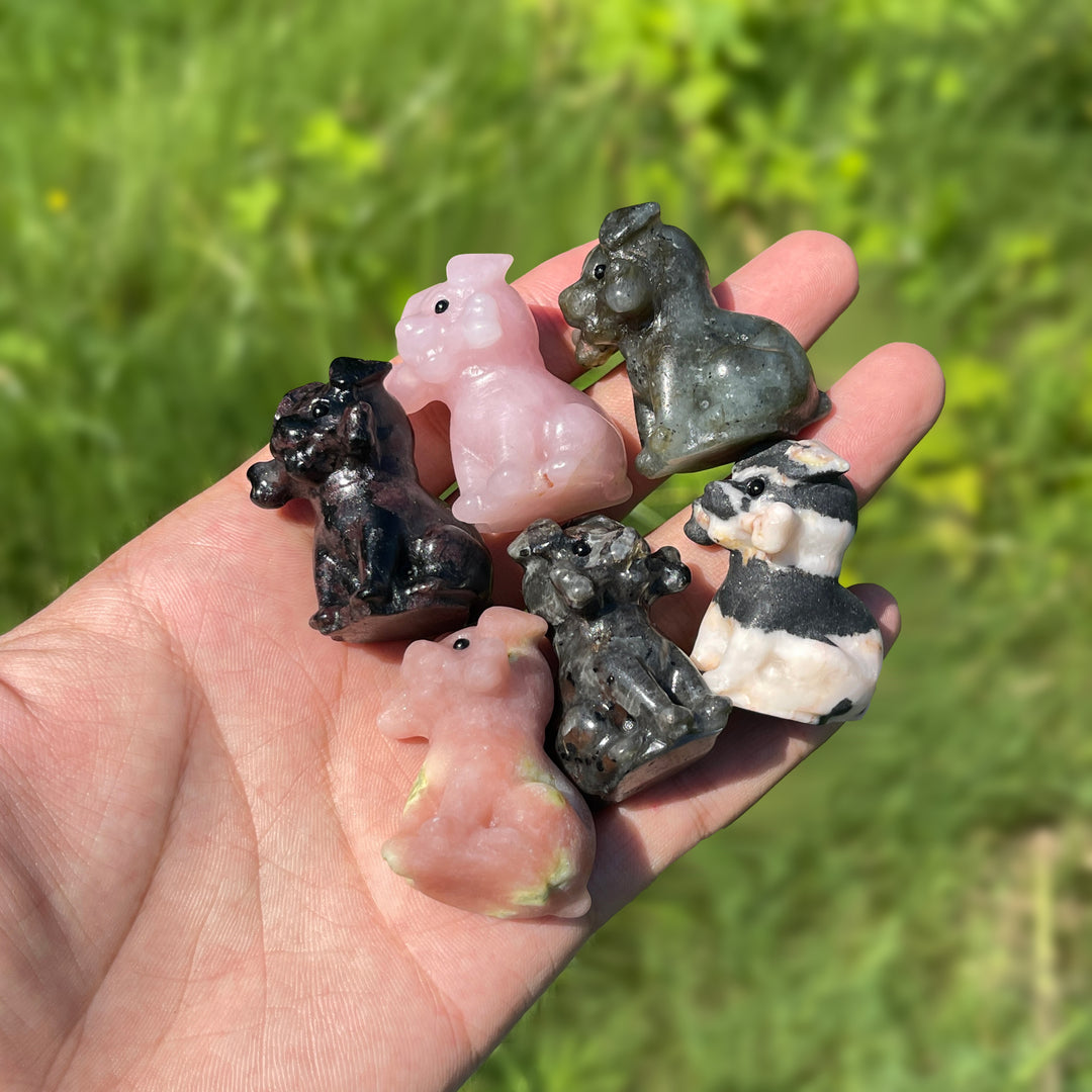 Natural Crystal Puppy With A Bone Carving