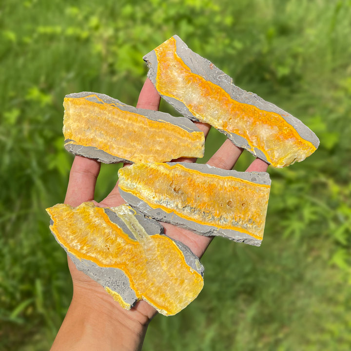 Natural Irregular Bumblebee Jasper Crystal Slice
