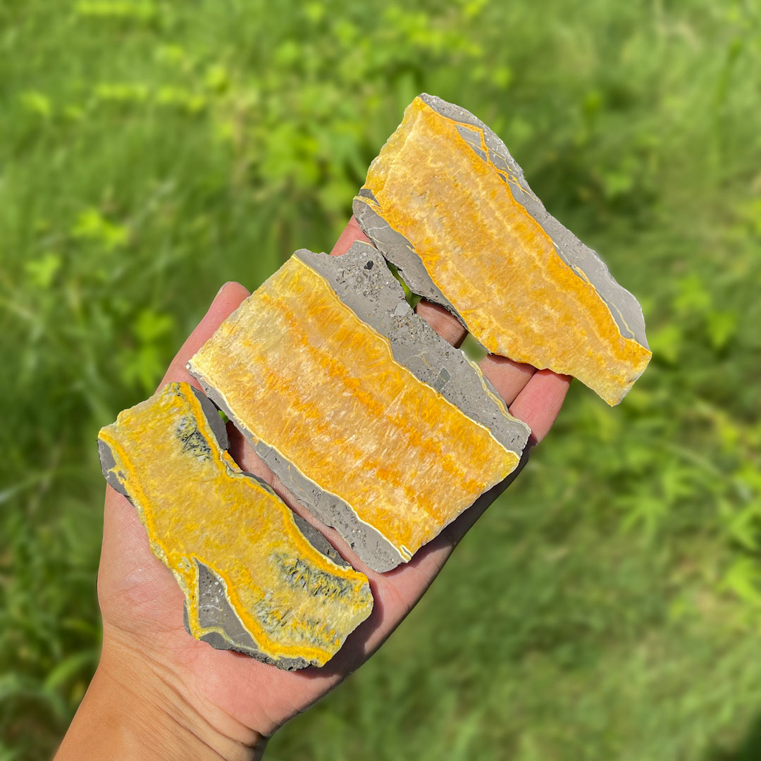 Natural Irregular Bumblebee Jasper Crystal Slice