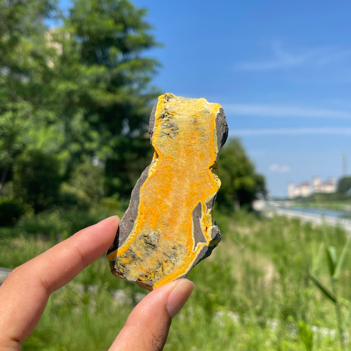 Natural Irregular Bumblebee Jasper Crystal Slice