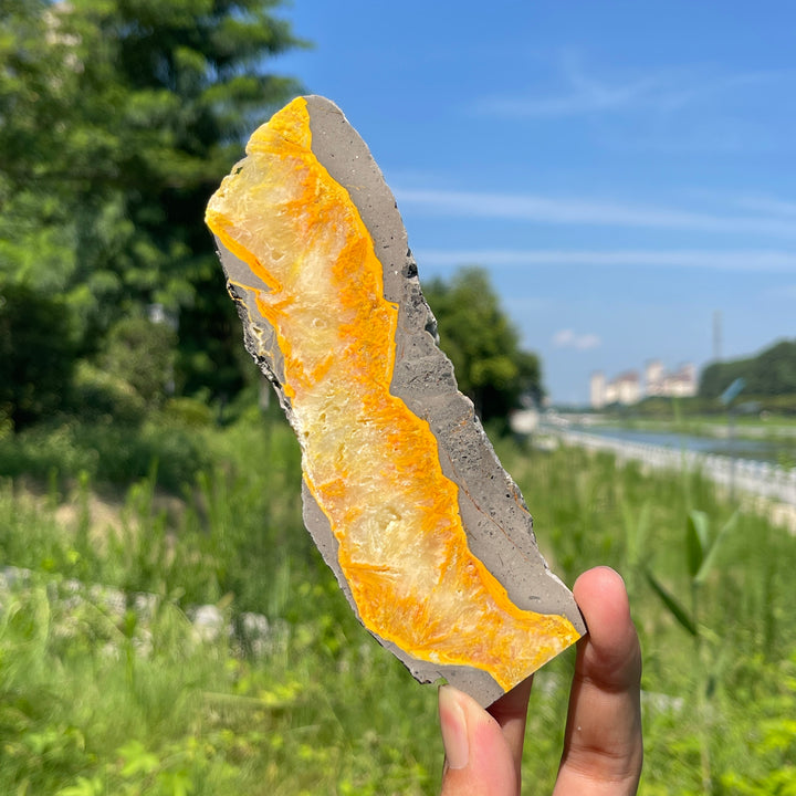Natural Irregular Bumblebee Jasper Crystal Slice