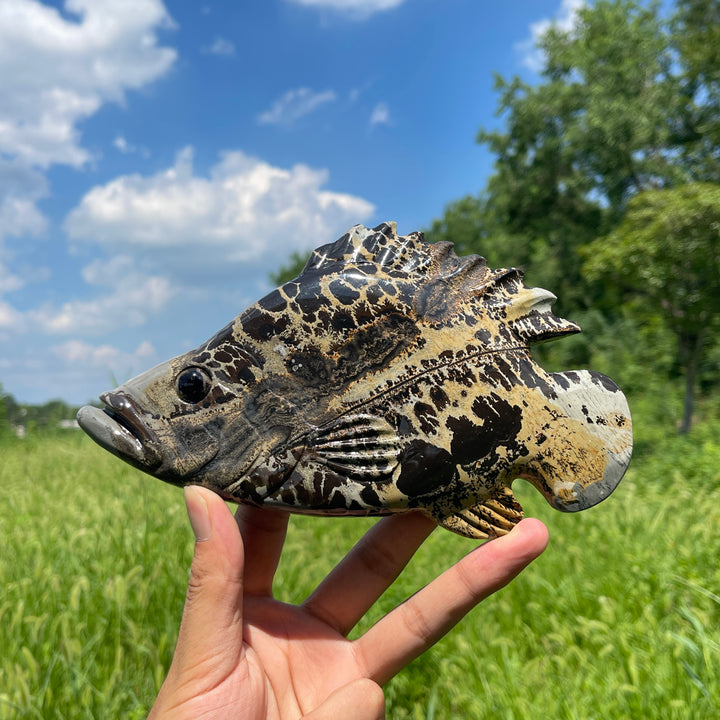 Unique,Natural Crystal Cute Picture Jasper Fish Carving