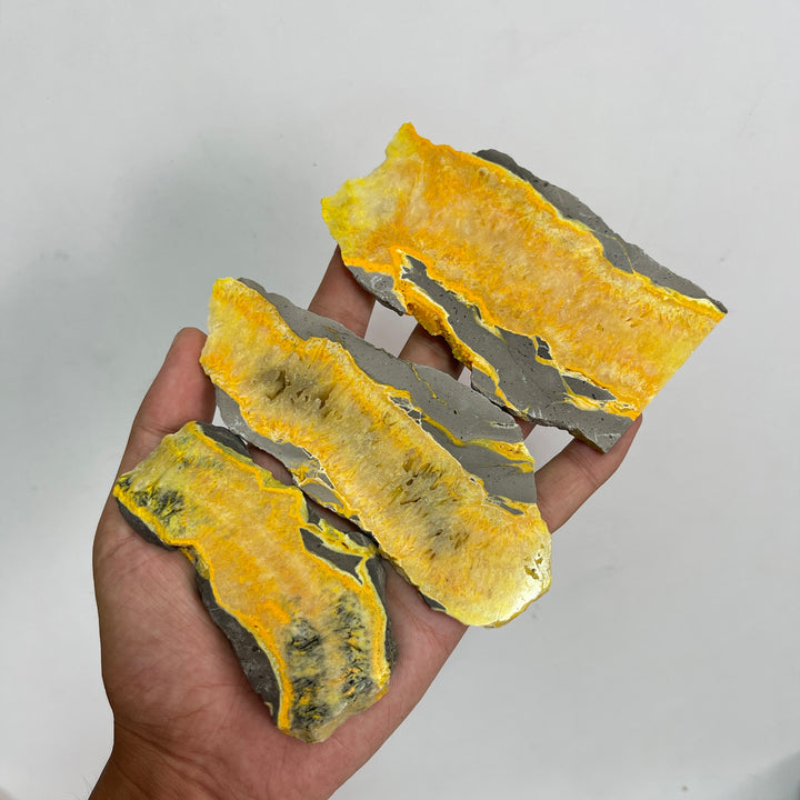 Natural Irregular Bumblebee Jasper Crystal Slice