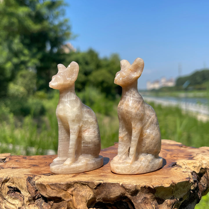 Natural Crystal Moonstone Seated Sphynx Cat Carving