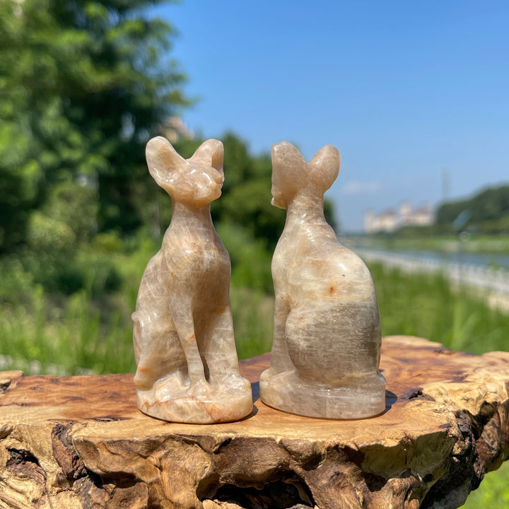 Natural Crystal Moonstone Seated Sphynx Cat Carving