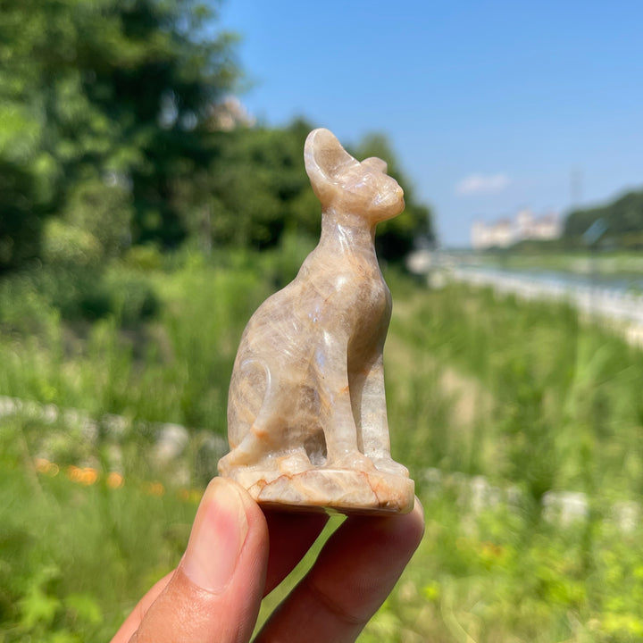 Natural Crystal Moonstone Seated Sphynx Cat Carving