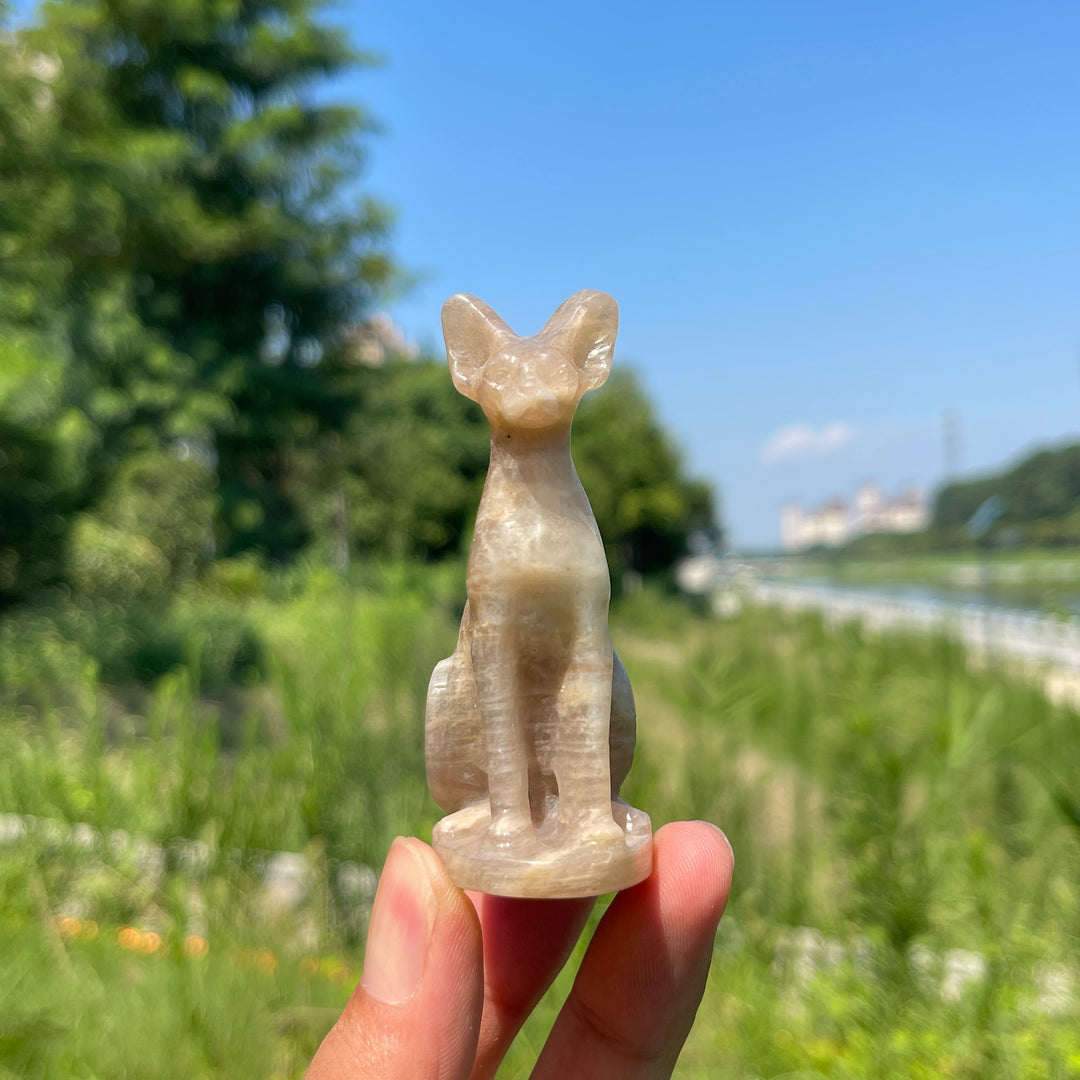 Natural Crystal Moonstone Seated Sphynx Cat Carving