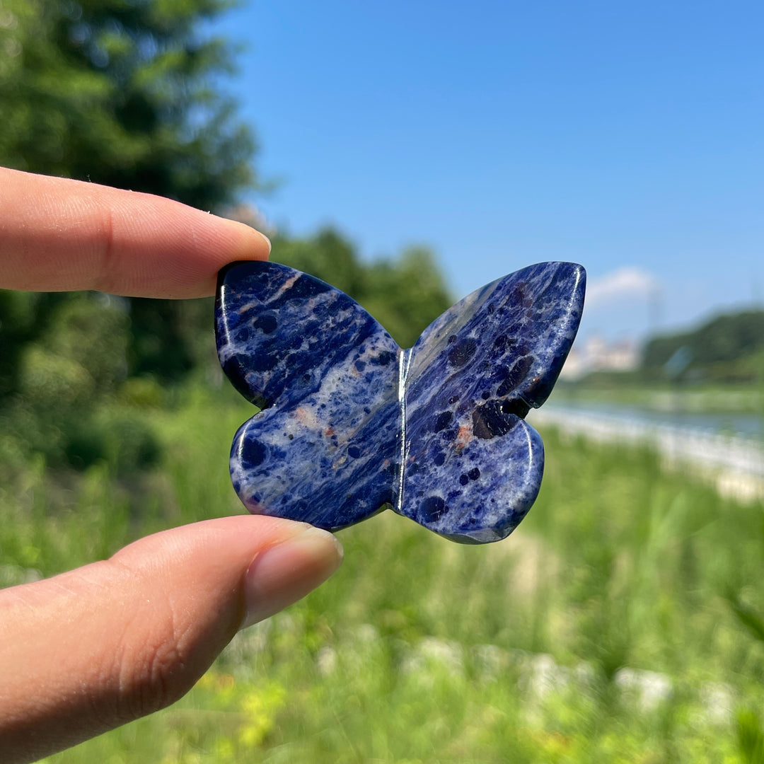 Natural Crystal Carved Stereoscopic Butterfly