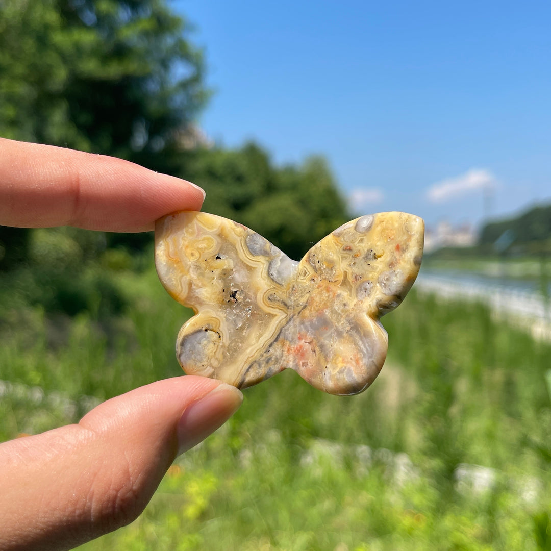 Natural Crystal Carved Stereoscopic Butterfly