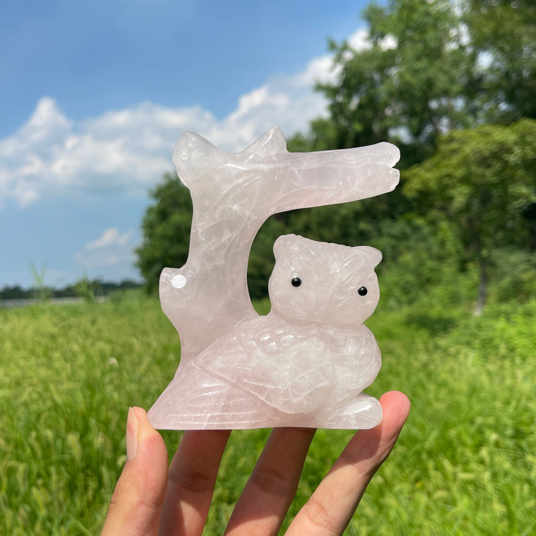 Unique,A Slightly Imperfect Natural Crystal Wise Owl On Tree Branch Carving