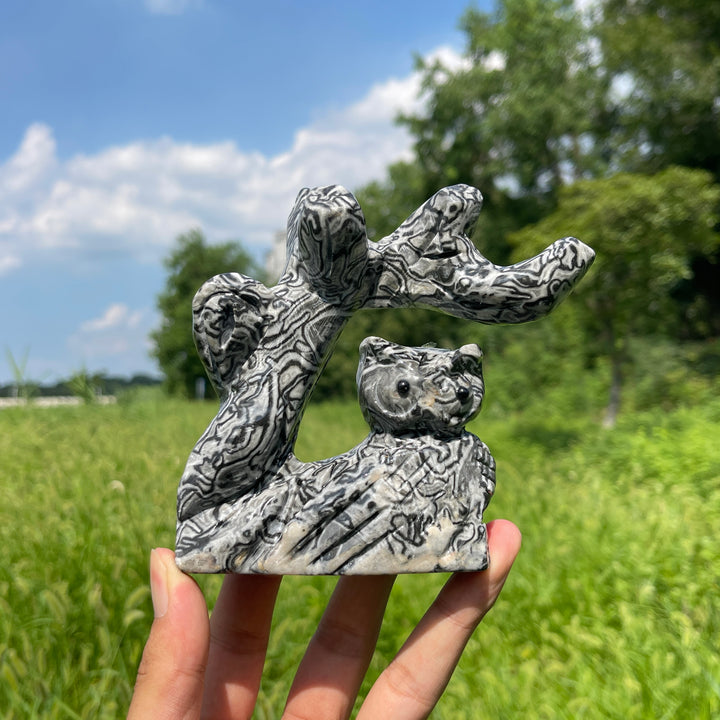 Unique,A Slightly Imperfect Natural Crystal Wise Owl On Tree Branch Carving