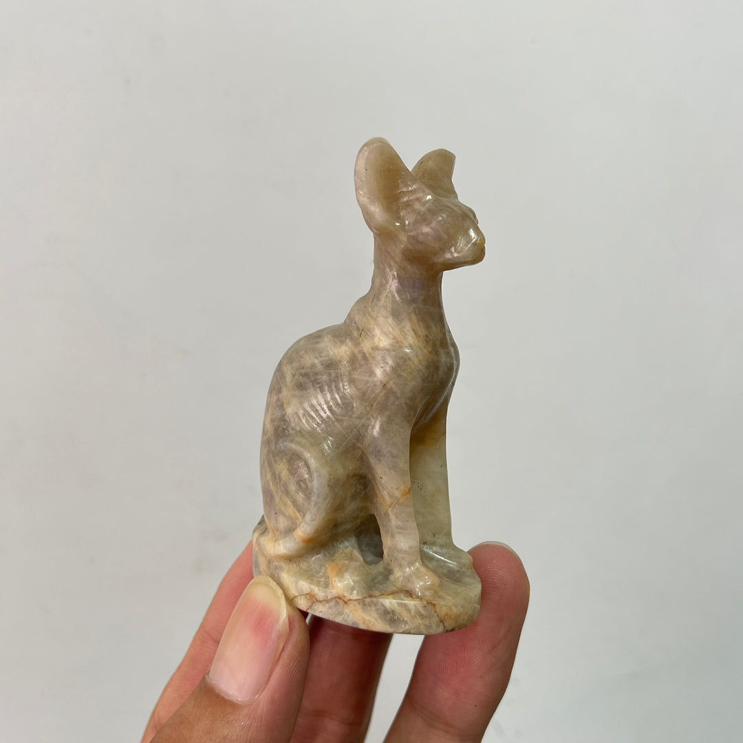 Natural Crystal Moonstone Seated Sphynx Cat Carving