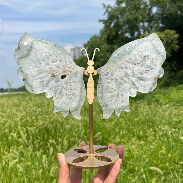 Unique,A Slightly Imperfect Natural Crystal Chlorite Quartz Butterfly Wings With Stand