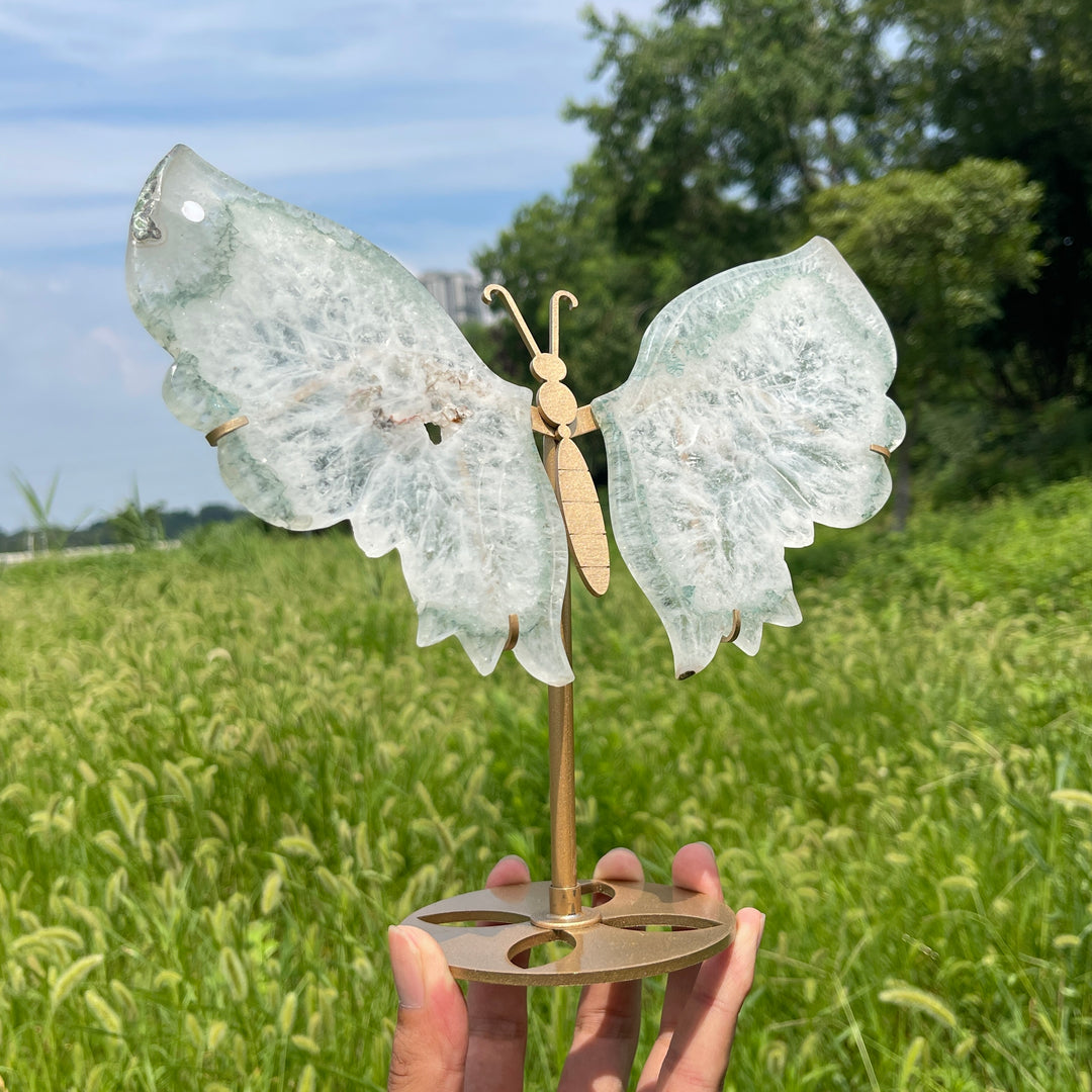Unique,A Slightly Imperfect Natural Crystal Chlorite Quartz Butterfly Wings With Stand