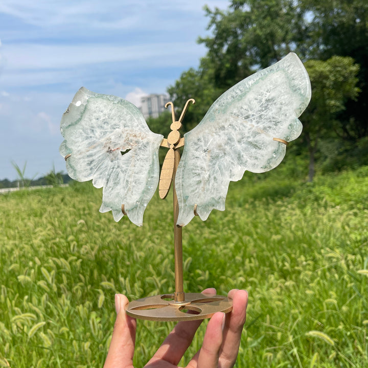 Unique,A Slightly Imperfect Natural Crystal Chlorite Quartz Butterfly Wings With Stand