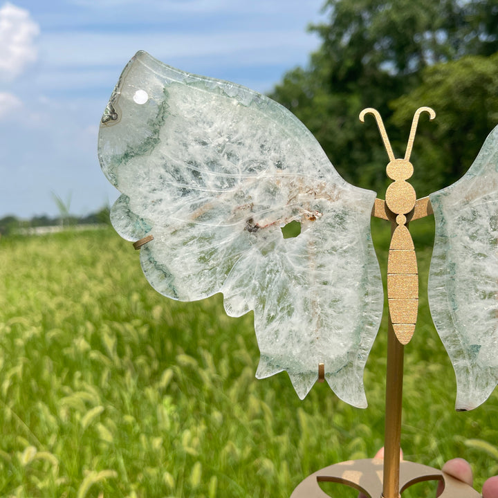 Unique,A Slightly Imperfect Natural Crystal Chlorite Quartz Butterfly Wings With Stand
