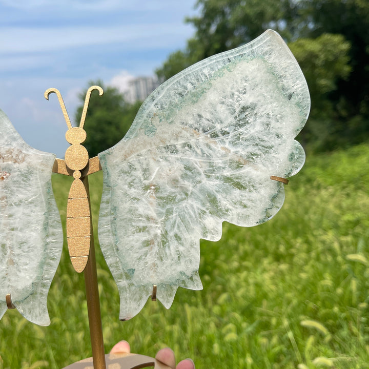 Unique,A Slightly Imperfect Natural Crystal Chlorite Quartz Butterfly Wings With Stand
