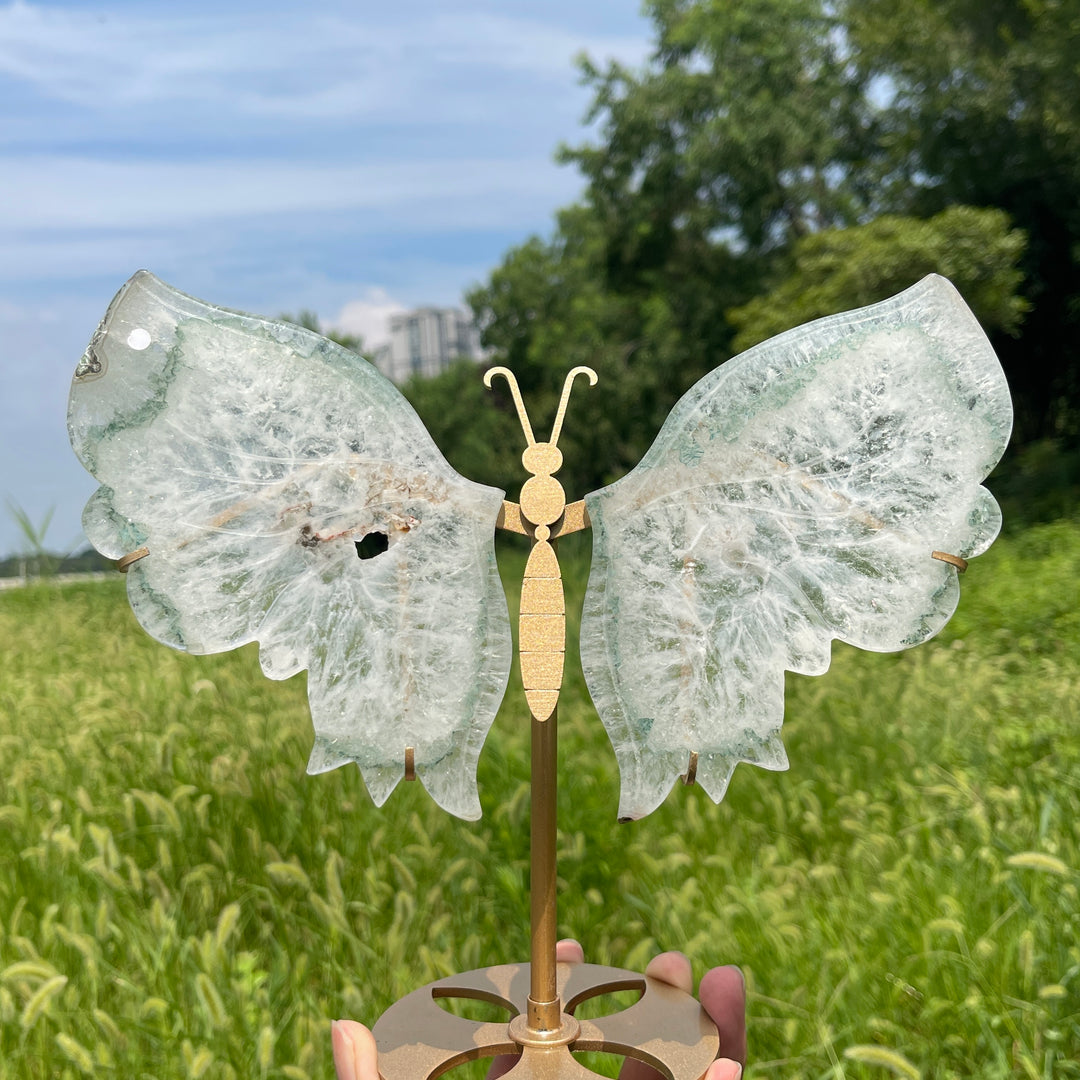 Unique,A Slightly Imperfect Natural Crystal Chlorite Quartz Butterfly Wings With Stand