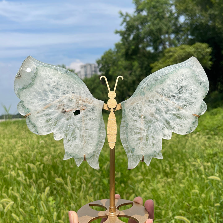 Unique,A Slightly Imperfect Natural Crystal Chlorite Quartz Butterfly Wings With Stand