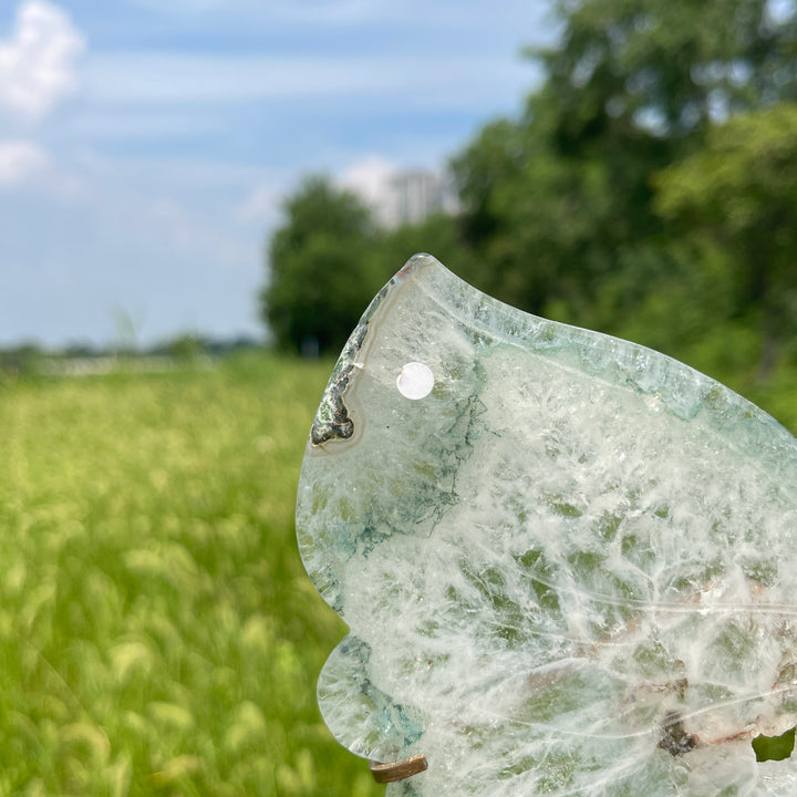 Unique,A Slightly Imperfect Natural Crystal Chlorite Quartz Butterfly Wings With Stand
