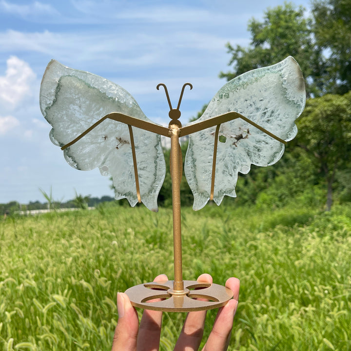 Unique,A Slightly Imperfect Natural Crystal Chlorite Quartz Butterfly Wings With Stand