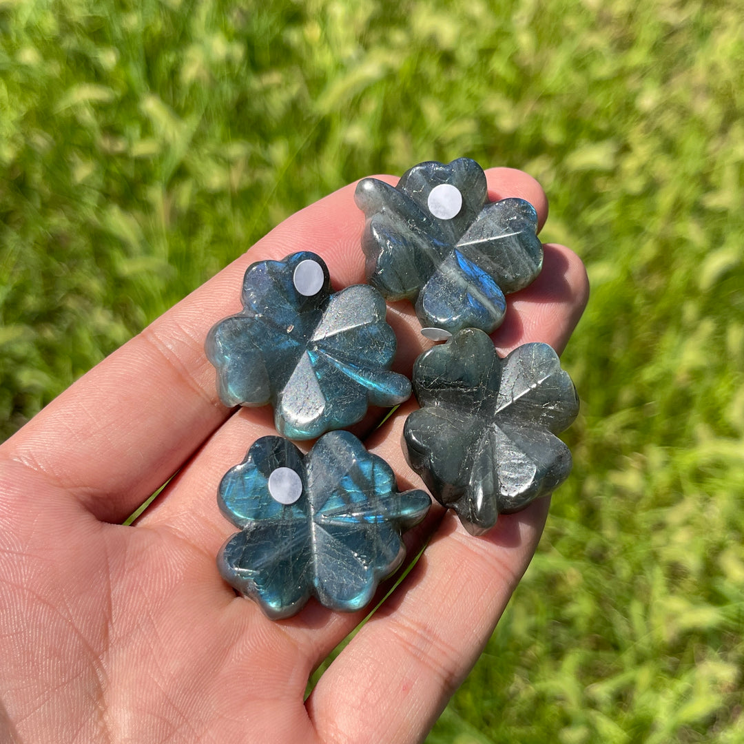 A Slightly Imperfect Natural Labradorite Four Leaf Clover Carving