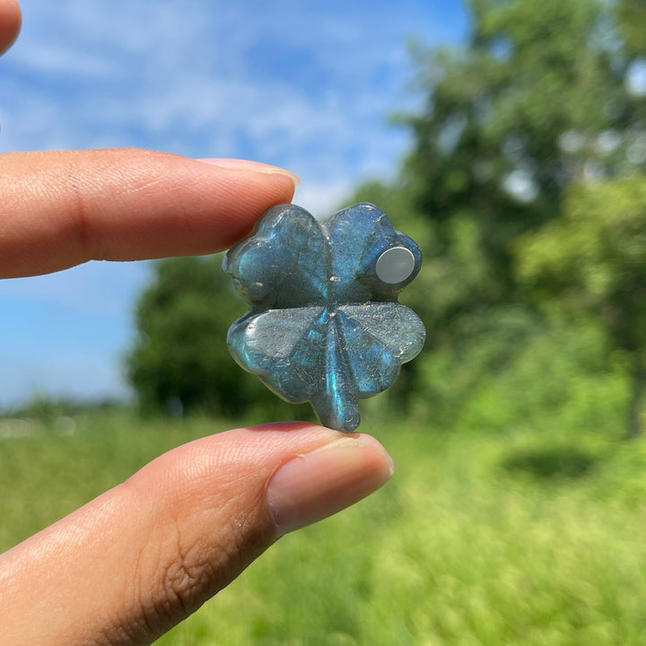 A Slightly Imperfect Natural Labradorite Four Leaf Clover Carving
