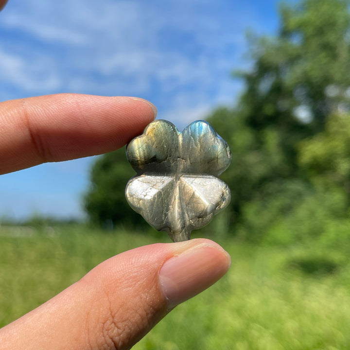 A Slightly Imperfect Natural Labradorite Four Leaf Clover Carving