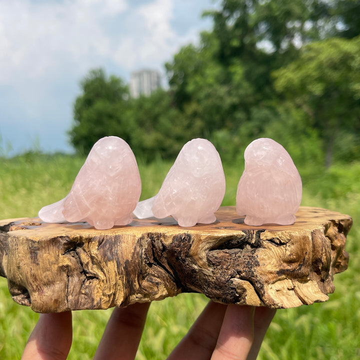 Natural Crystal Carving Cute Rose Quartz Bird