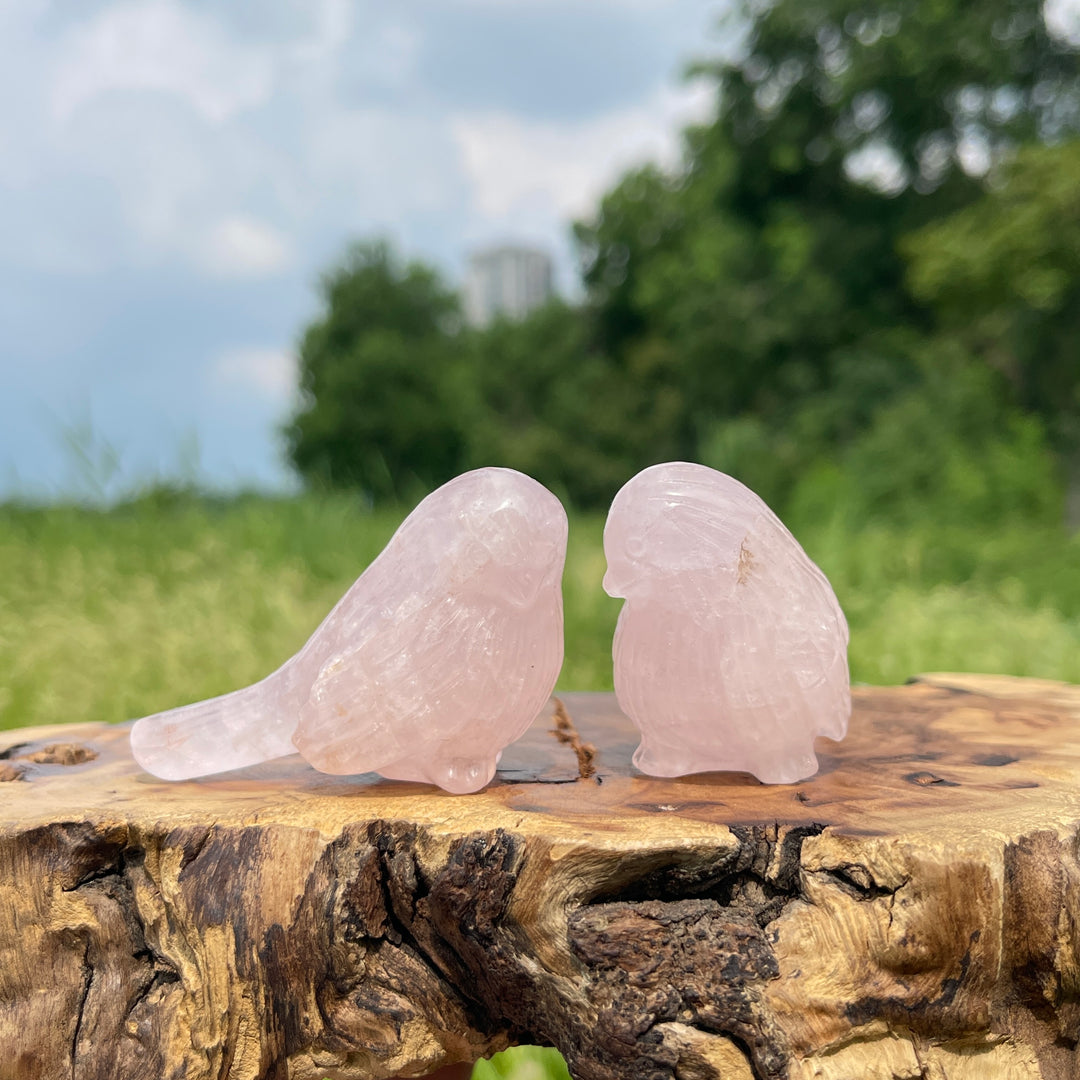 Natural Crystal Carving Cute Rose Quartz Bird