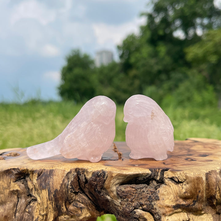 Natural Crystal Carving Cute Rose Quartz Bird