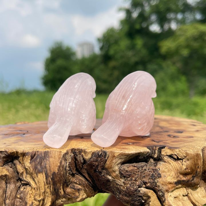 Natural Crystal Carving Cute Rose Quartz Bird